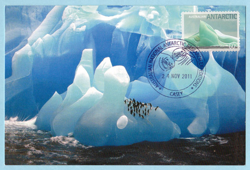 maximum card from Casey Station